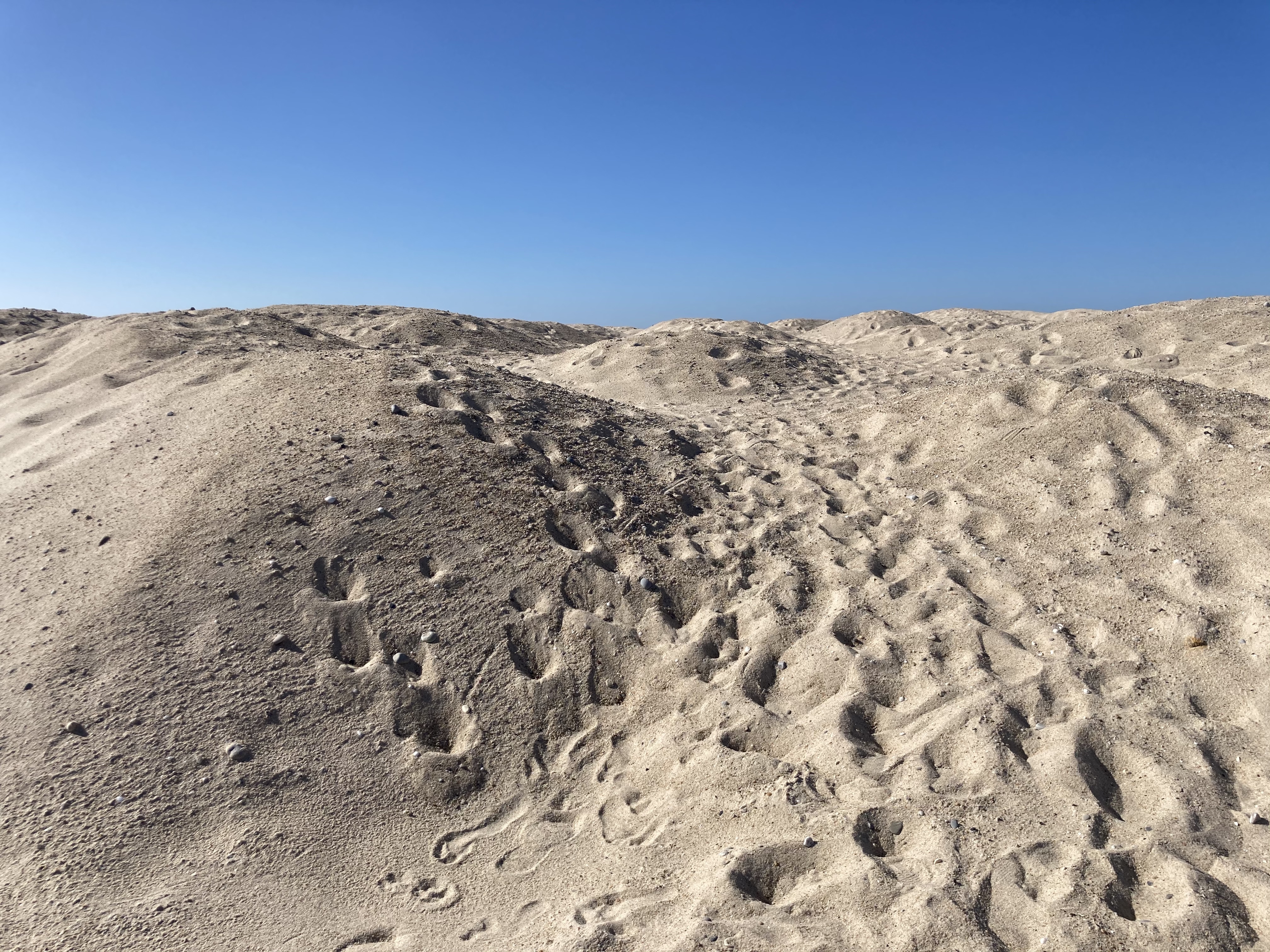 The moon-like sand dunes of Praia de Fox