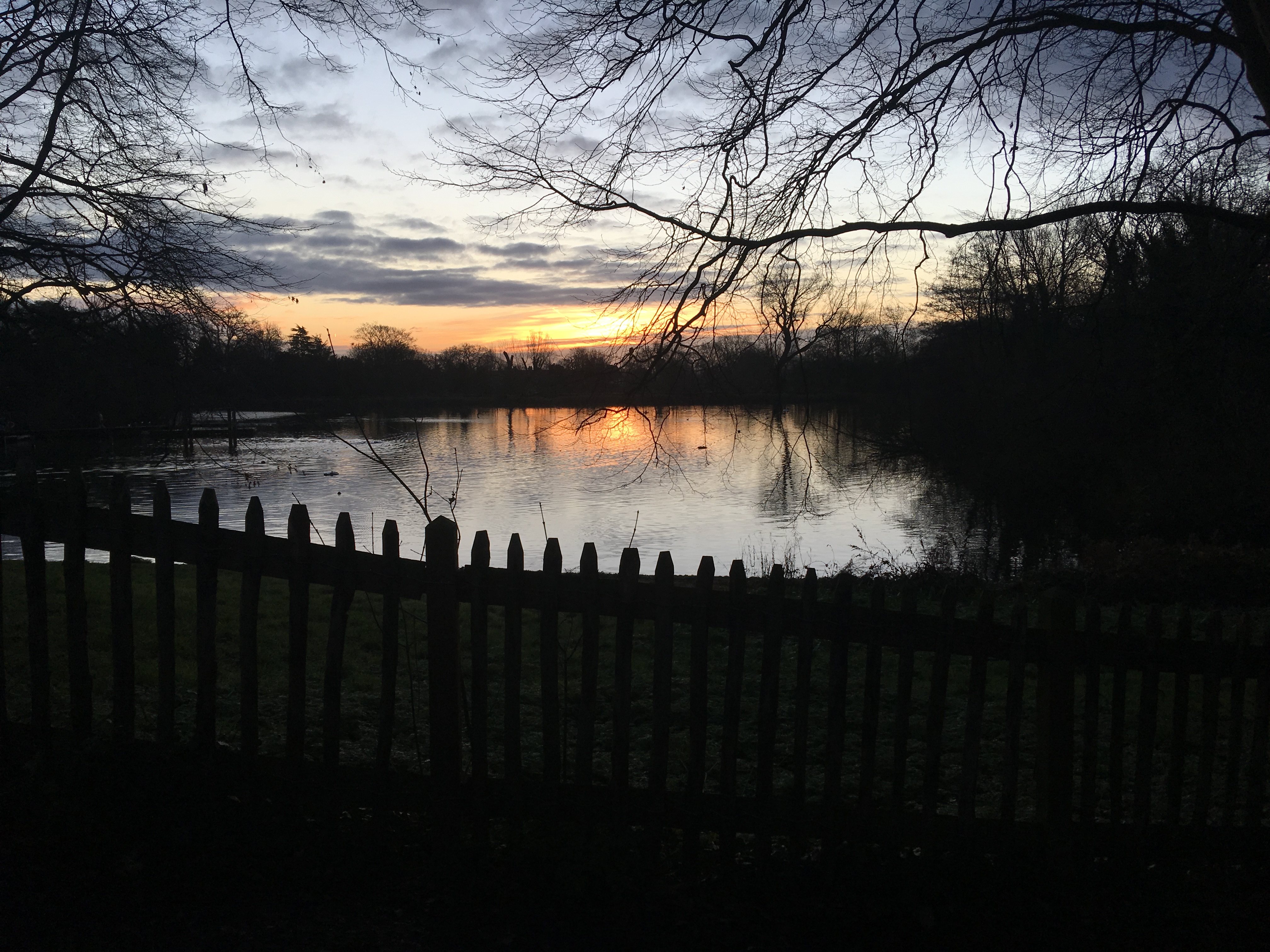 Hampstead Heath ponds at sun rise