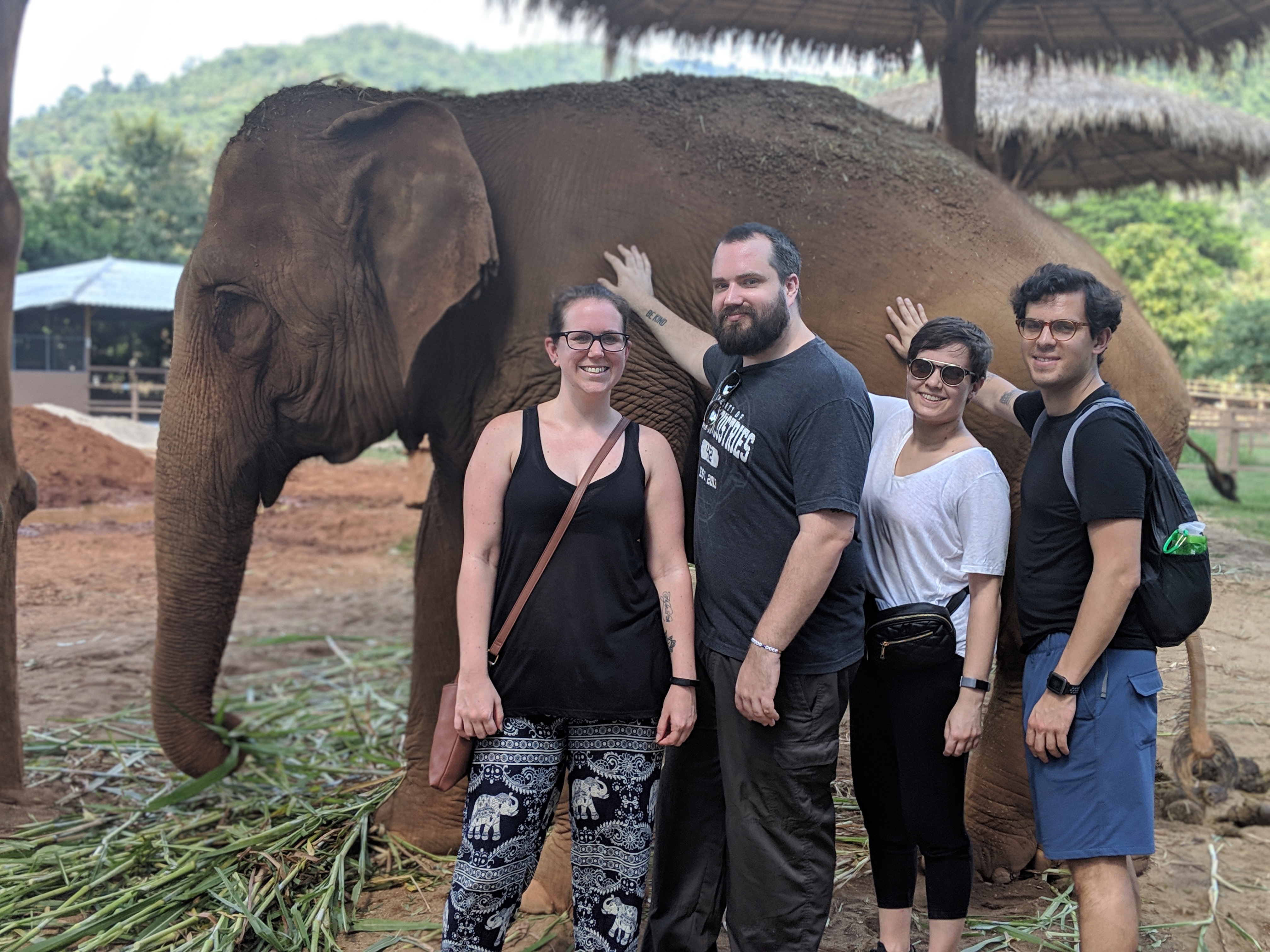 Hanging out with elephants