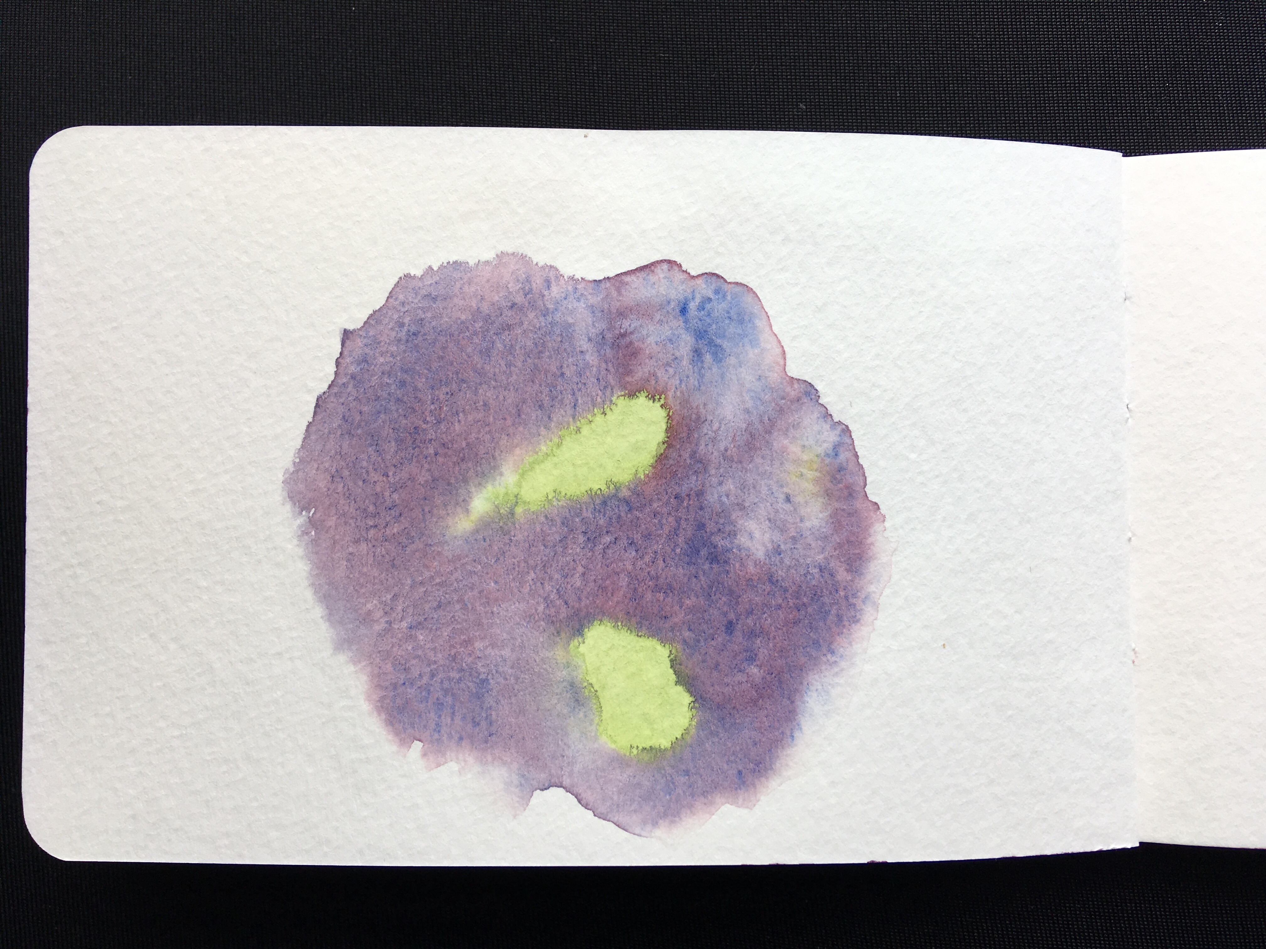A bad watercolour painting of some kind of nebulous, abstract, green and purple thing